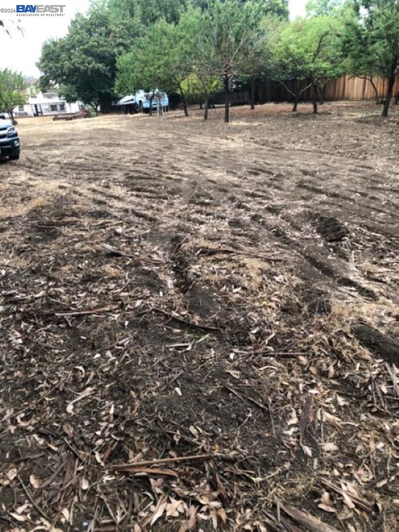 Tilled level ground with fruit trees and fence line